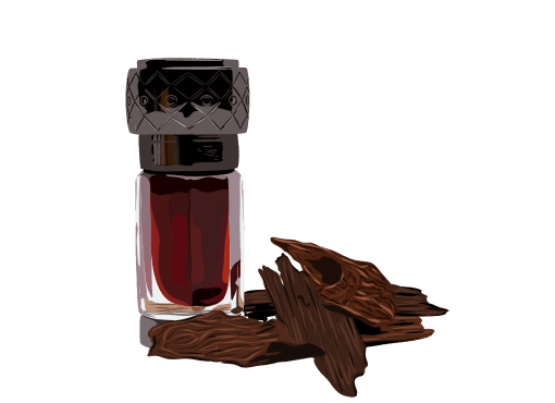 Oud and Oil