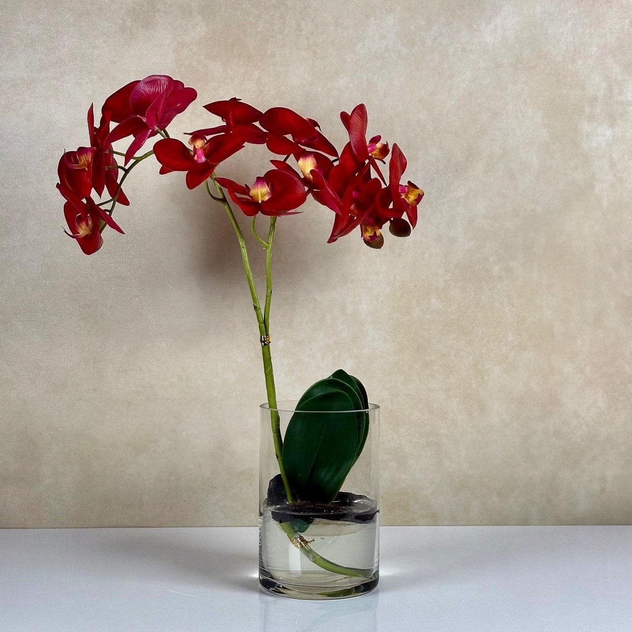 Orchid's in glass vase