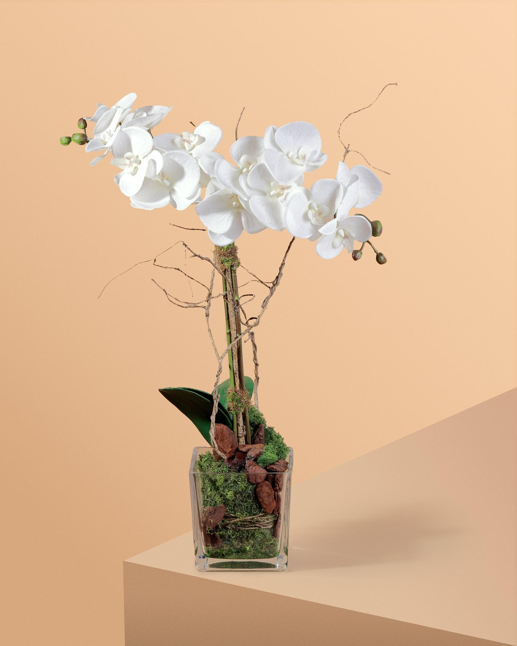 Orchids in glass vase